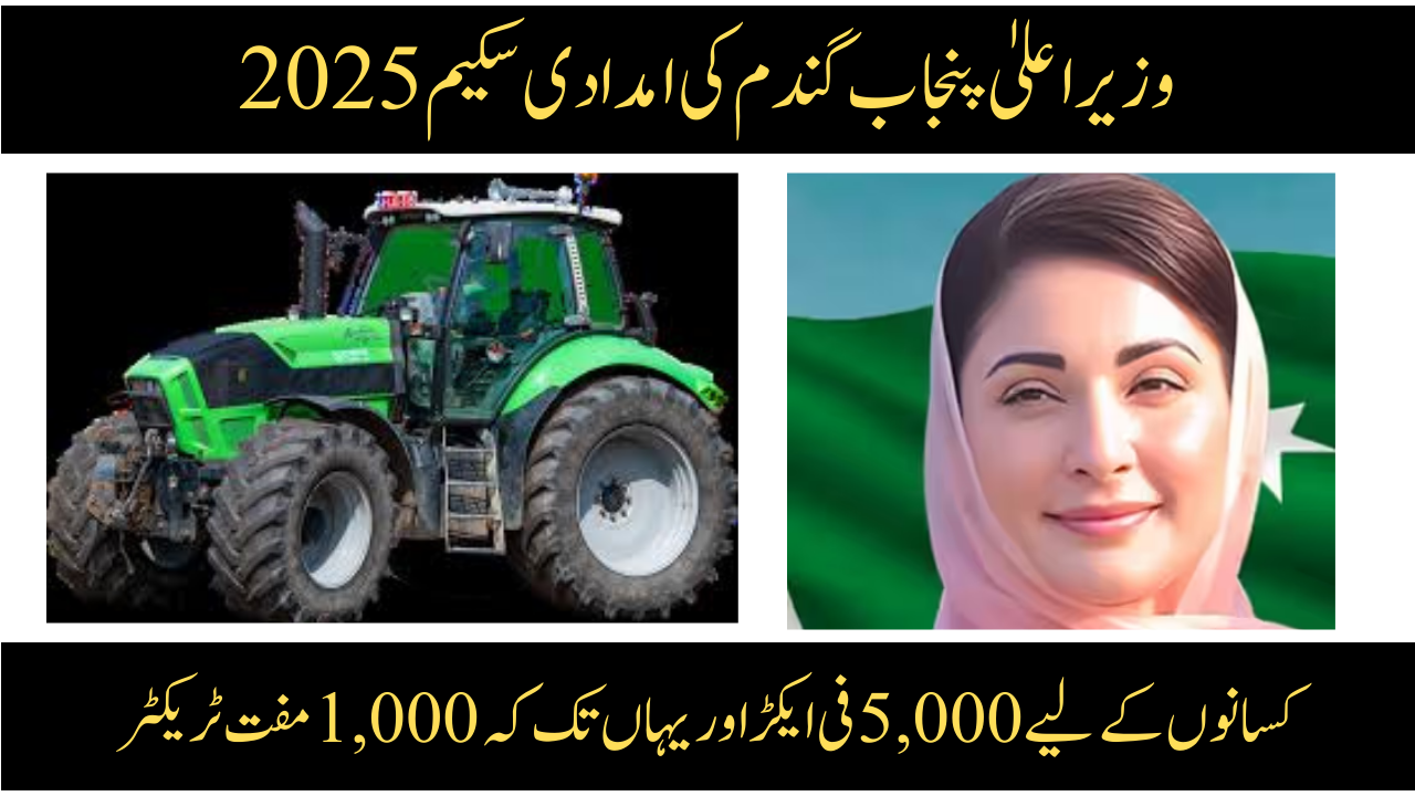 CM Punjab Wheat Support Scheme