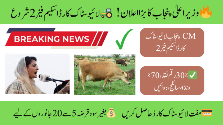 Chief Minister of Punjab Livestock Card Scheme Phase 2 Get Interest-Free Loan