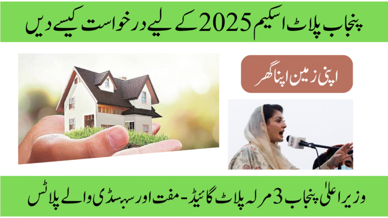 How to Apply for the Punjab Plot Scheme