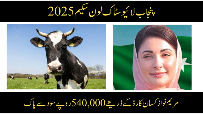 Punjab Livestock Loan Scheme