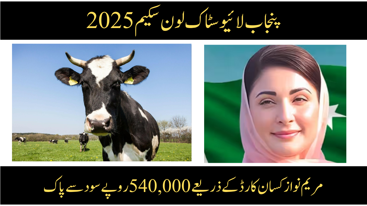 Punjab Livestock Loan Scheme