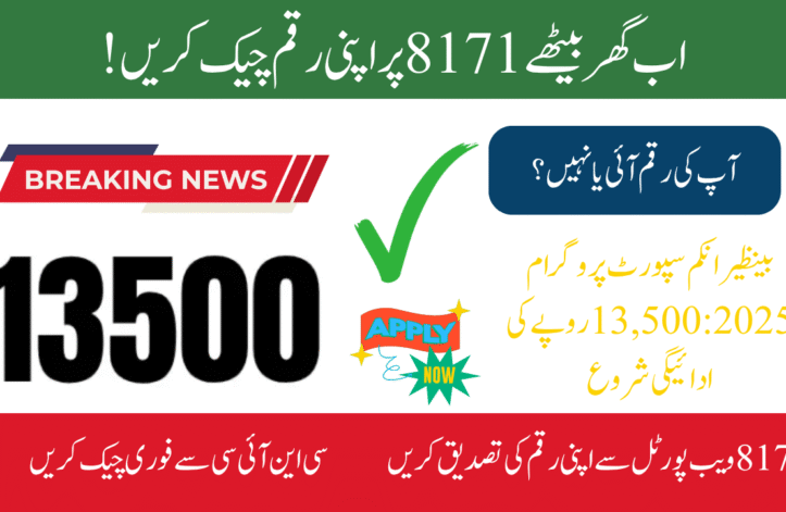 BISP 8171 CNIC Portal – Check Your 2025 Payment Instantly